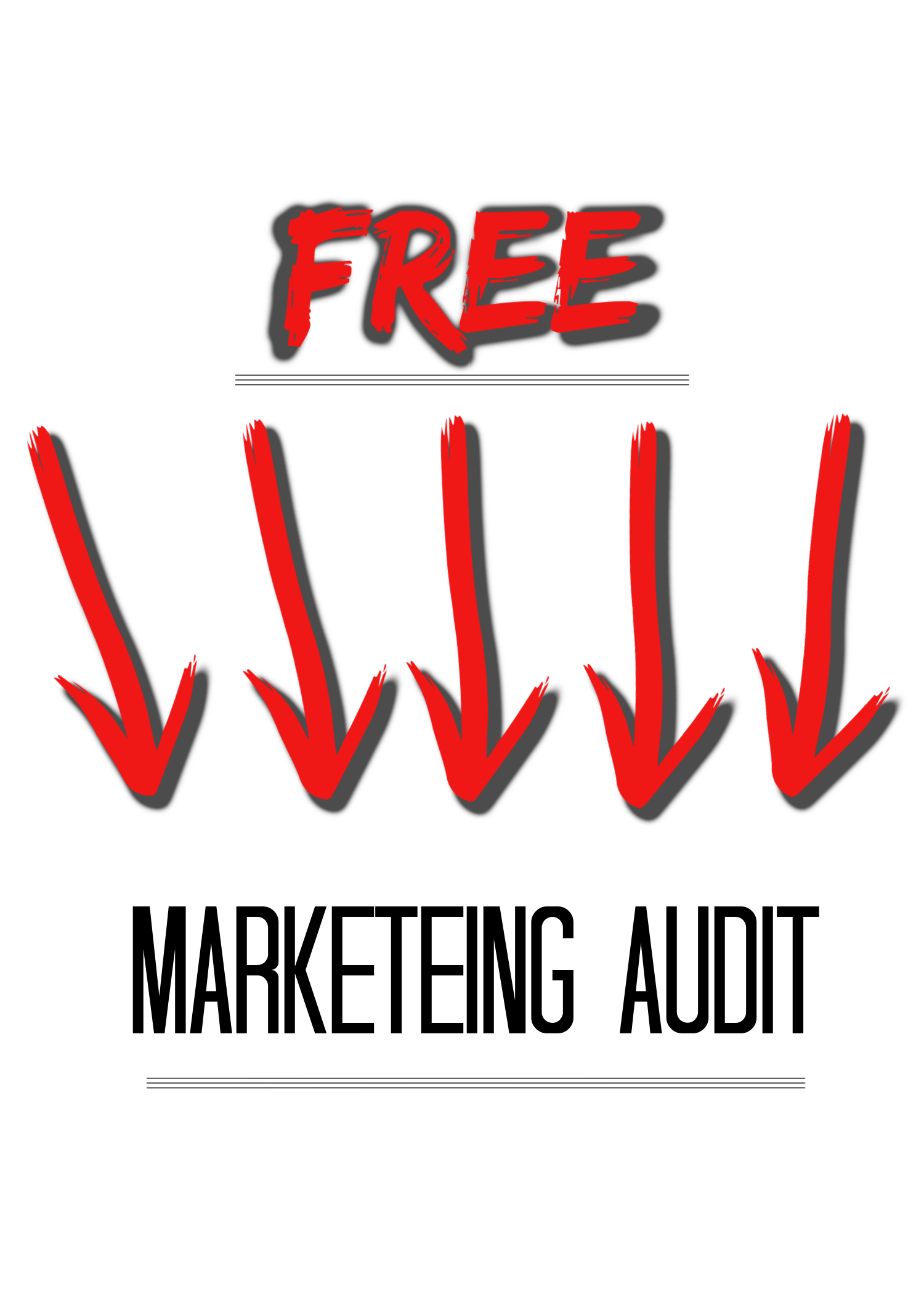 Digital Velocity and SEO Image